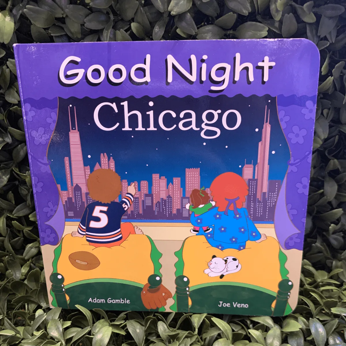 Good Night Chicago Board Book