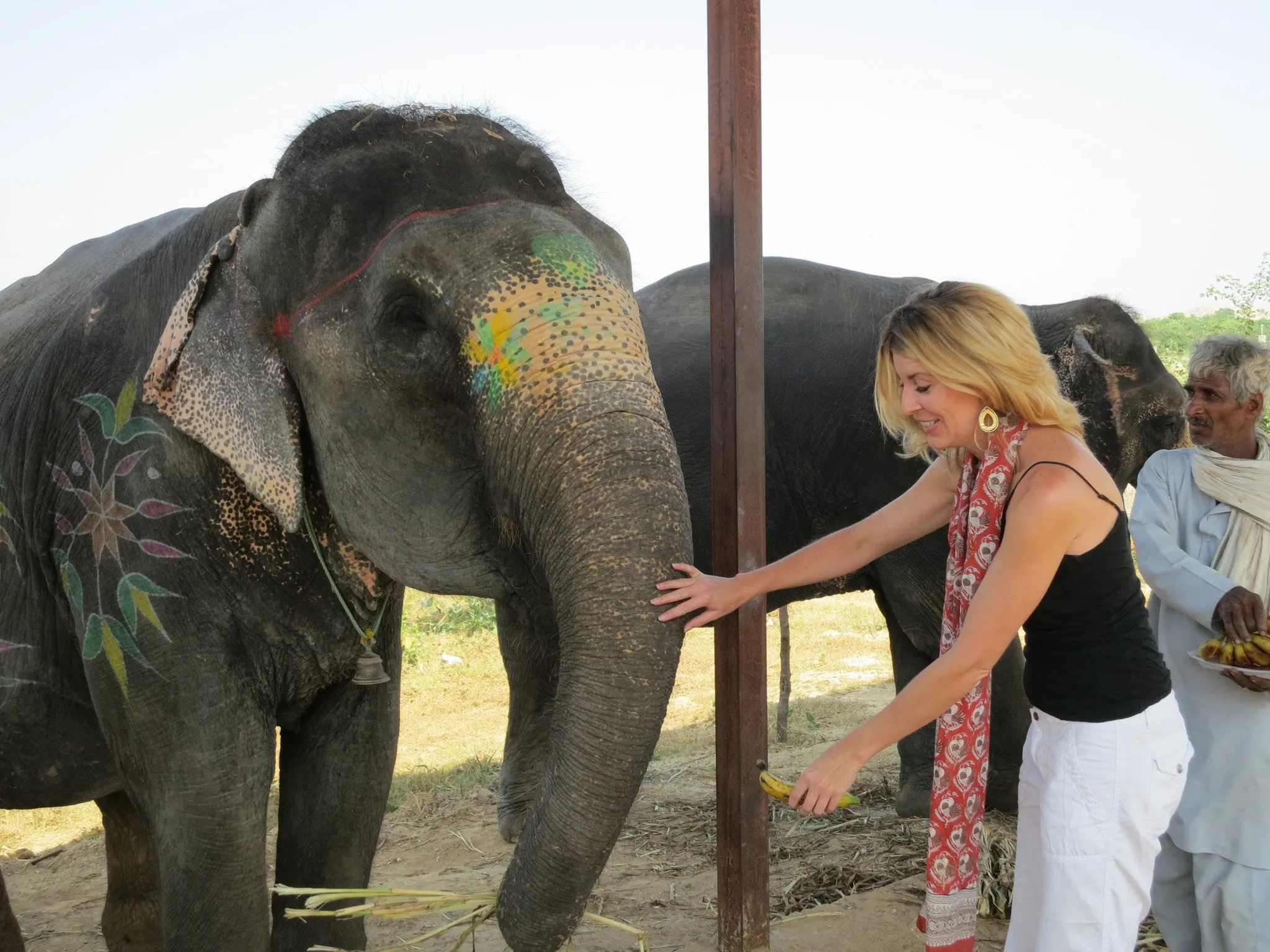 Hand Block Printed Scarf - Elephant