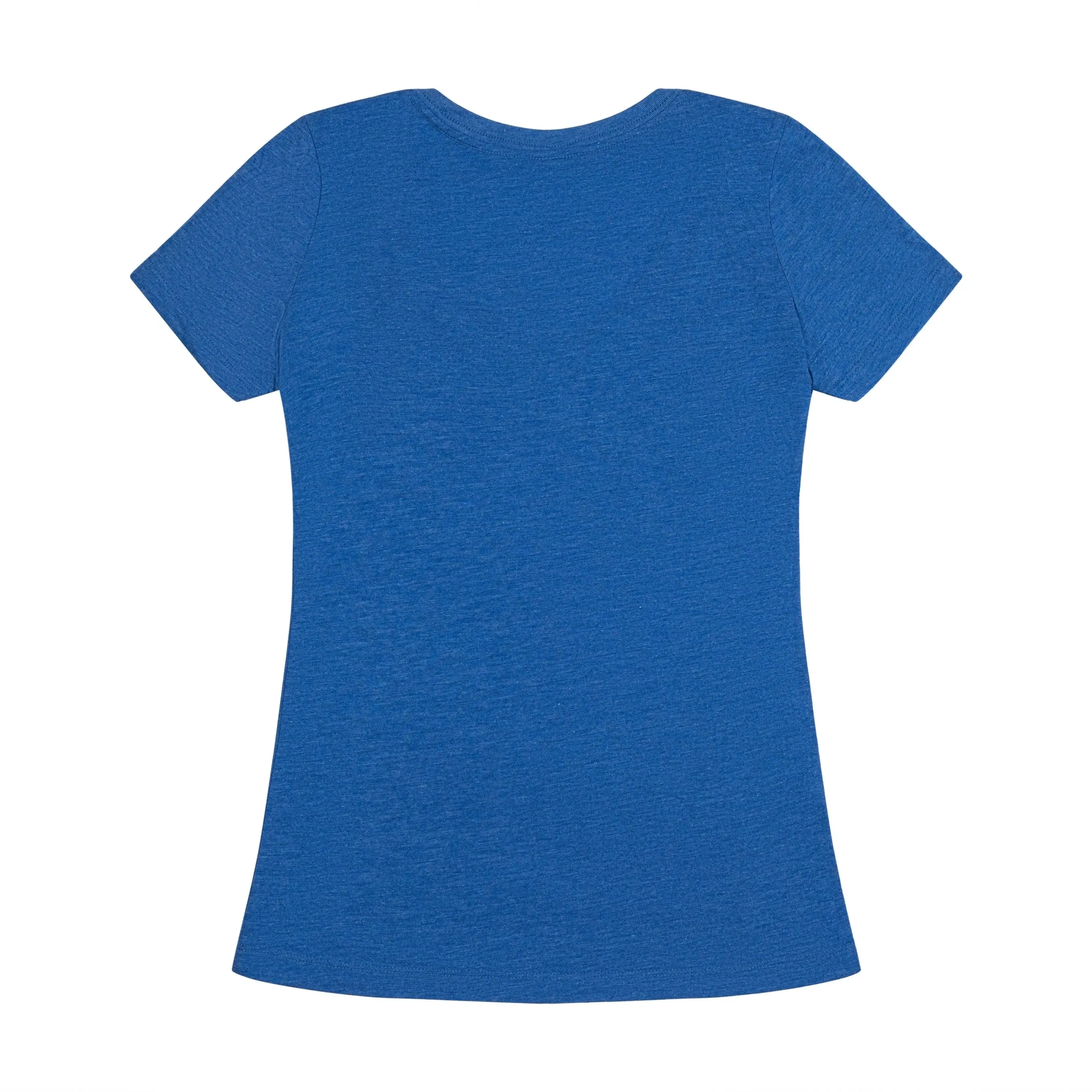 Harvard Graduate School of Education Ladies V-Neck