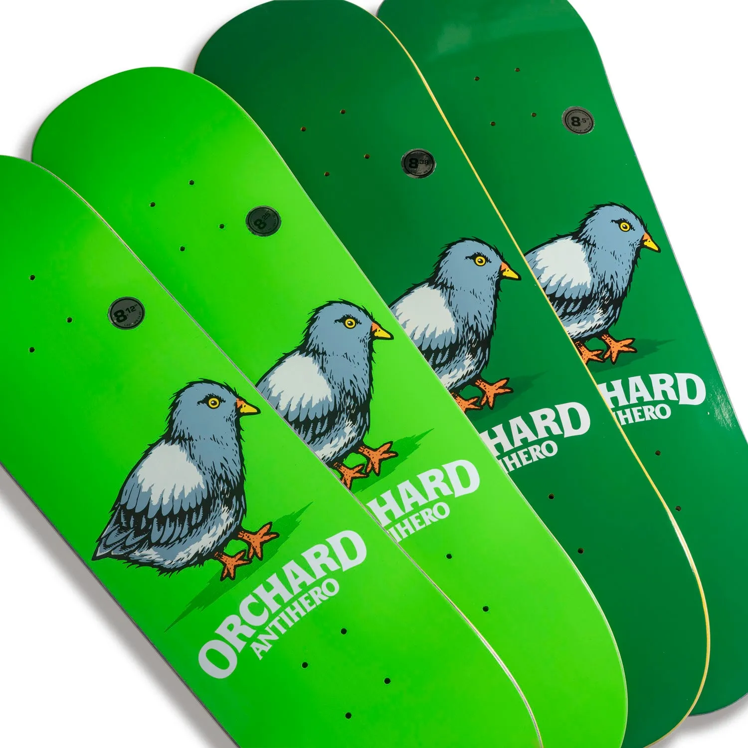 Orchard x Antihero 18 Deck 8.5